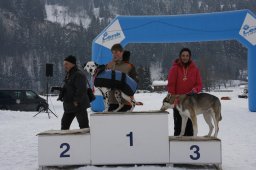 Lenk 2012 SM